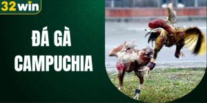 đá gà Campuchia