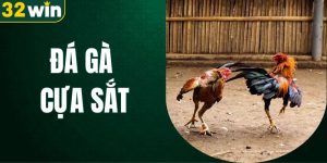 đá gà cựa sắt