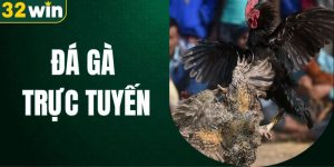 đá gà trực tuyến